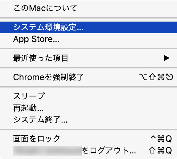 システム環境設定を選択
