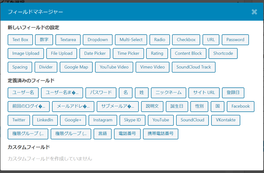 フィールドマネージャー