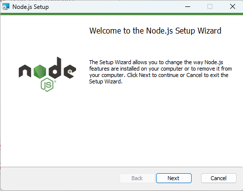Node.js Setup