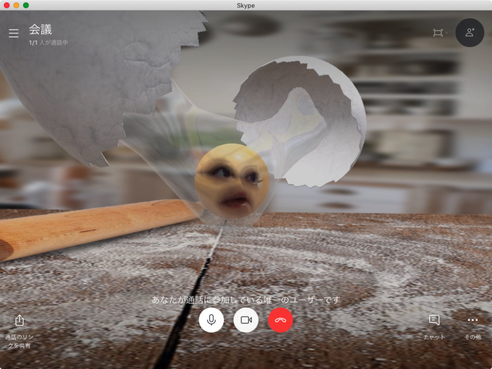 SkypeでSnap Cameraを使った状態
