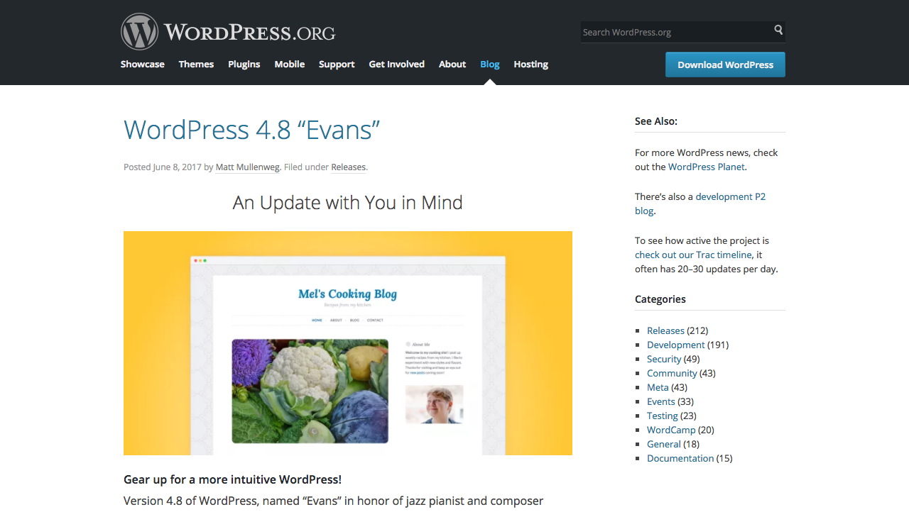 WordPress 4.8