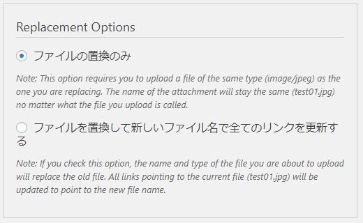 置き換えオプション(Replacement Options)