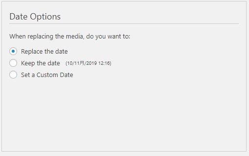 ファイル更新日(Data Options)